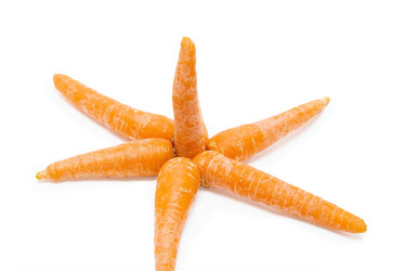 Similar image 273358