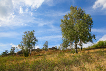 Similar image 273371