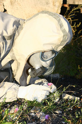 Similar image 273380