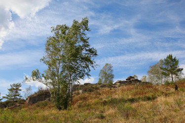 Similar image 273387