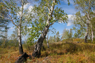 Similar image 273393