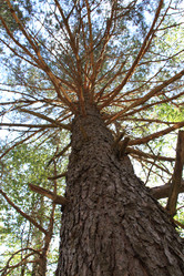 Similar image 273402