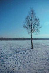 Similar image 273418