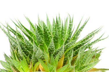 Similar image 273425