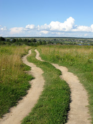 Similar image 273426