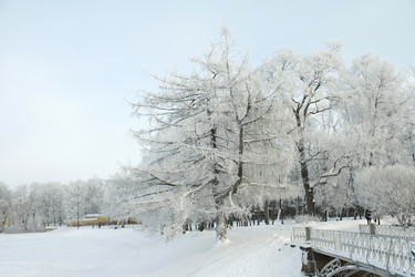 Similar image 273428