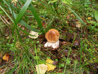 Similar image 273443