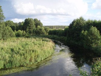 Similar image 273459