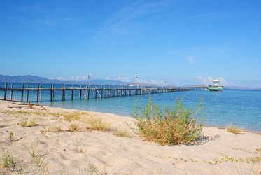 Similar image 273462