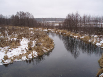 Similar image 273464