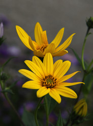 Similar image 273521