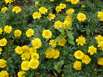 Similar image 273530