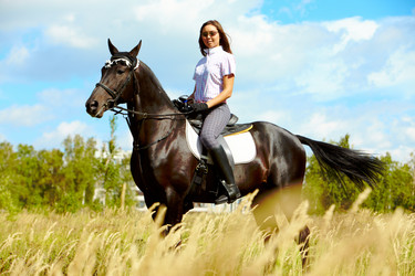 Similar image 273545