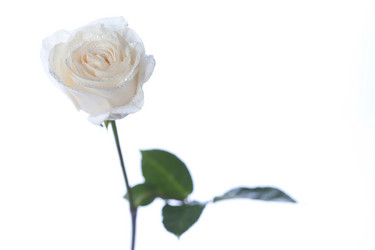 Similar image 273553