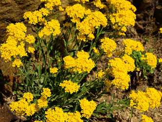 Similar image 273577