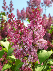 Similar image 273582