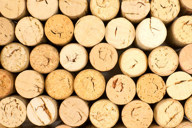 Similar image 273585