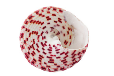 Similar image 273616