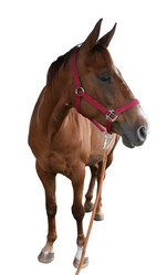 Similar image 273619