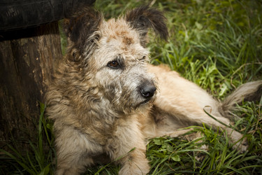 Similar image 273625