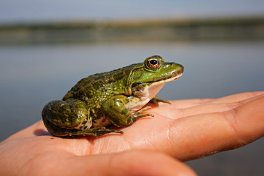 Similar image 273638