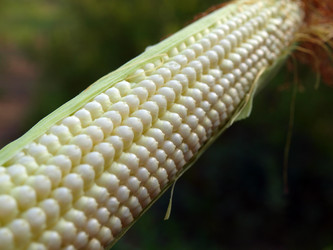 Similar image 273646