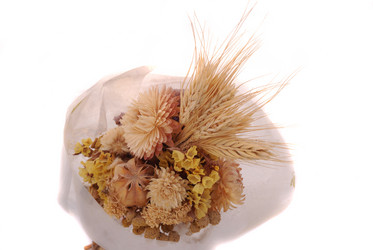 Similar image 273728