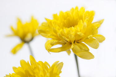 Similar image 273786