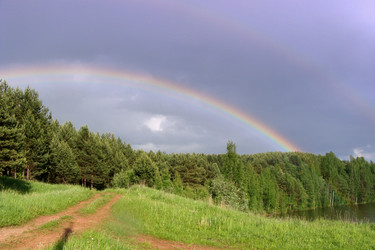 Similar image 273799