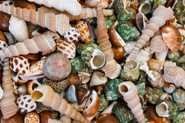 Similar image 273806