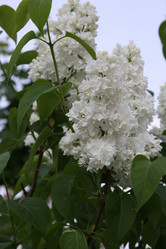 Similar image 273825