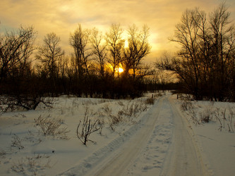 Similar image 273828