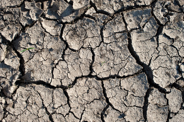 Similar image 273830