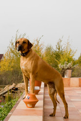 Similar image 273864