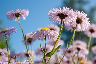 Similar image 273875