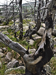 Similar image 273943