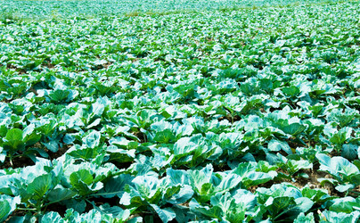 Similar image 273974