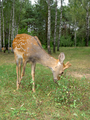 Similar image 273982