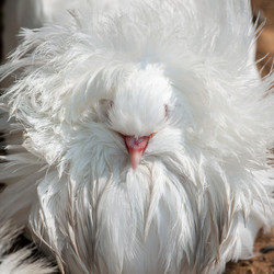 Similar image 273990