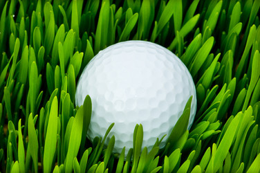 Similar image 273998