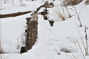 Similar image 274003