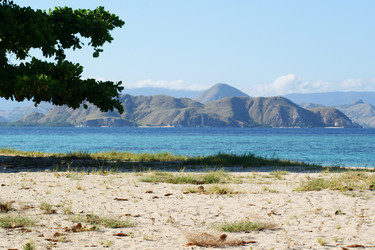 Similar image 274018