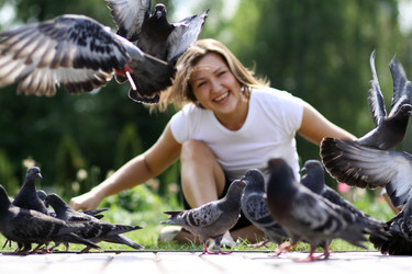 Similar image 274028