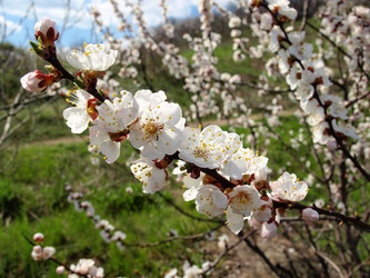 Similar image 274155