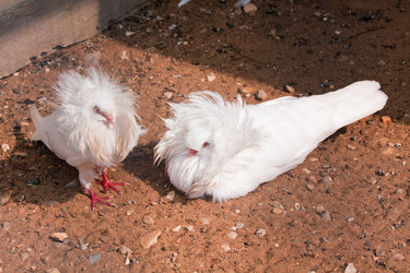 Similar image 274176