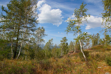 Similar image 274194