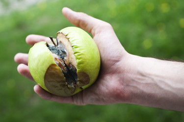 Similar image 274195