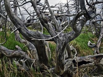 Similar image 274211