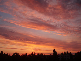 Similar image 274233