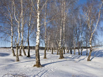 Similar image 274250